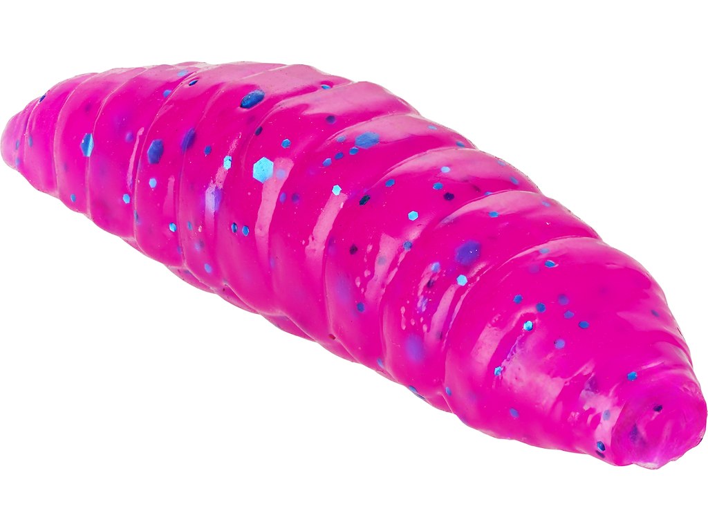 MAGGOT