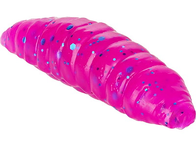 MAGGOT