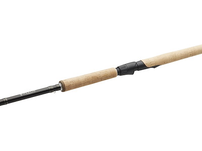 W2 SALMON