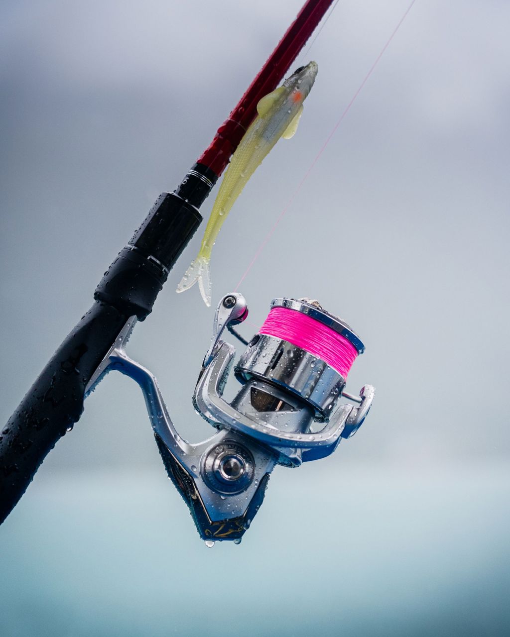 Westin Moulinet baitcasting W6 LSG 51BC Doré | Waveinn