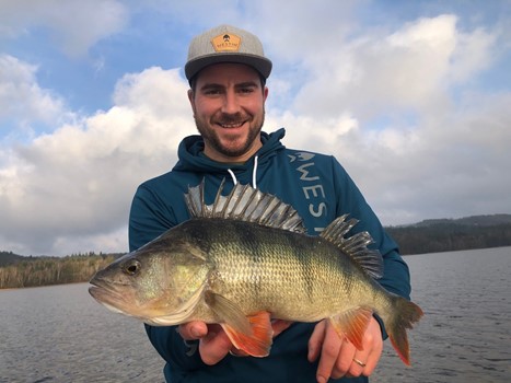 Perch Fishing With Lures